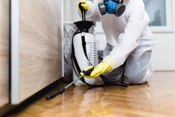 Best Local Pest Control Services  in Katonah, NY