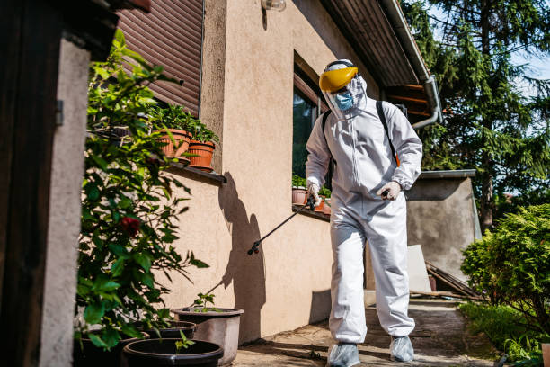 Best Flea Control Services  in Katonah, NY