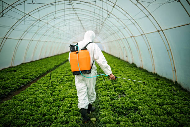 Best Pest Inspection Near Me  in Katonah, NY