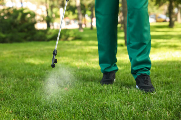 Best Commercial Pest Control Services  in Katonah, NY
