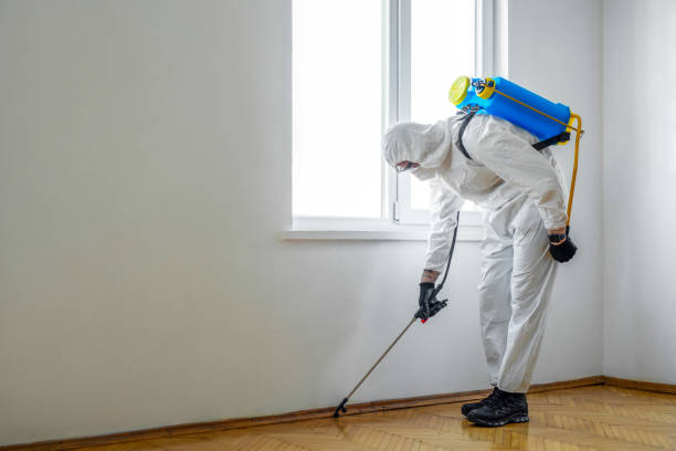 Best Wildlife Control Services  in Katonah, NY