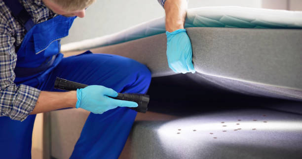 Best Pest Control Near Me in Katonah, NY