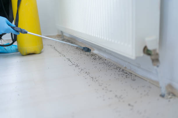 Best Pest Removal Services  in Katonah, NY