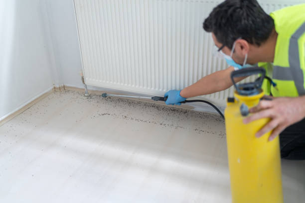 Best Residential Pest Control  in Katonah, NY