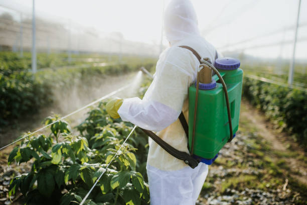 Best Pest Control Cost  in Katonah, NY